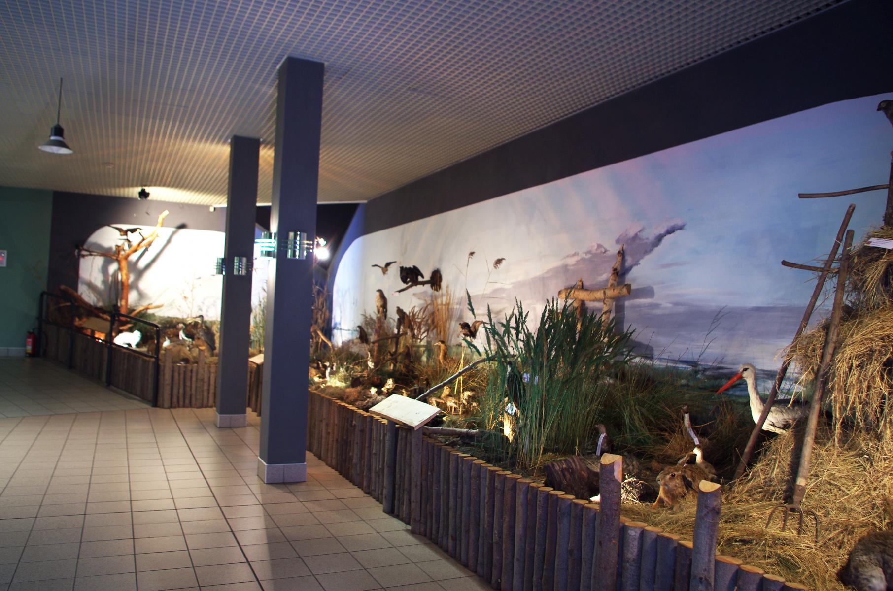 Muzeum Przyrodnicze Wolińskiego Parku Narodowego