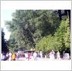 Galeria zdjęć: Bieg Śniadaniowy i Mityng Lekkoatletyczny im. W. Komara i T. Ślusarskiego 2006. Link otwiera powiększoną wersję zdjęcia.