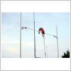 Galeria zdjęć: Bieg Śniadaniowy i Mityng Lekkoatletyczny im. W. Komara i T. Ślusarskiego 2011. Link otwiera powiększoną wersję zdjęcia.