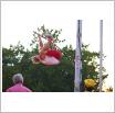 Galeria zdjęć: Bieg Śniadaniowy i Mityng Lekkoatletyczny im. W. Komara i T. Ślusarskiego 2013. Link otwiera powiększoną wersję zdjęcia.