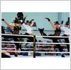 Galeria zdjęć: Międzyzdroje Seaside Boxing Show 2009. Link otwiera powiększoną wersję zdjęcia.