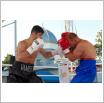 Galeria zdjęć: Międzyzdroje Seaside Boxing Show 2009. Link otwiera powiększoną wersję zdjęcia.