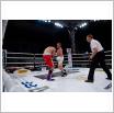 Galeria zdjęć: Międzyzdroje Seaside Boxing Show 2009. Link otwiera powiększoną wersję zdjęcia.