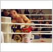 Galeria zdjęć: Międzyzdroje Seaside Boxing Show 2009. Link otwiera powiększoną wersję zdjęcia.