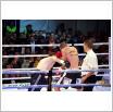 Galeria zdjęć: Międzyzdroje Seaside Boxing Show 2011. Link otwiera powiększoną wersję zdjęcia.