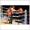 Galeria zdjęć: Międzyzdroje Seaside Boxing Show 2011. Link otwiera powiększoną wersję zdjęcia.