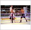 Galeria zdjęć: Międzyzdroje Seaside Boxing Show 2011. Link otwiera powiększoną wersję zdjęcia.