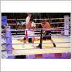 Galeria zdjęć: Międzyzdroje Seaside Boxing Show 2011. Link otwiera powiększoną wersję zdjęcia.