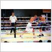 Galeria zdjęć: Międzyzdroje Seaside Boxing Show 2011. Link otwiera powiększoną wersję zdjęcia.