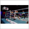 Galeria zdjęć: Międzyzdroje Seaside Boxing Show 2015. Link otwiera powiększoną wersję zdjęcia.