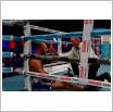 Galeria zdjęć: Międzyzdroje Seaside Boxing Show 2015. Link otwiera powiększoną wersję zdjęcia.