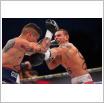 Galeria zdjęć: Międzyzdroje Seaside Boxing Show 2016. Link otwiera powiększoną wersję zdjęcia.