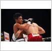 Galeria zdjęć: Międzyzdroje Seaside Boxing Show 2016. Link otwiera powiększoną wersję zdjęcia.