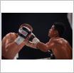 Galeria zdjęć: Międzyzdroje Seaside Boxing Show 2016. Link otwiera powiększoną wersję zdjęcia.