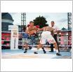 Galeria zdjęć: Gala MMA i Międzyzdroje Seaside Boxing Show 2017. Link otwiera powiększoną wersję zdjęcia.