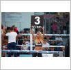 Galeria zdjęć: Gala MMA i Międzyzdroje Seaside Boxing Show 2017. Link otwiera powiększoną wersję zdjęcia.