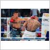 Galeria zdjęć: Gala MMA i Międzyzdroje Seaside Boxing Show 2017. Link otwiera powiększoną wersję zdjęcia.