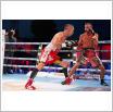 Galeria zdjęć: Gala MMA i Międzyzdroje Seaside Boxing Show 2017. Link otwiera powiększoną wersję zdjęcia.