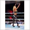 Galeria zdjęć: Gala MMA i Międzyzdroje Seaside Boxing Show 2017. Link otwiera powiększoną wersję zdjęcia.