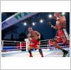 Galeria zdjęć: Gala MMA i Międzyzdroje Seaside Boxing Show 2017. Link otwiera powiększoną wersję zdjęcia.
