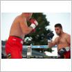 Galeria zdjęć: Gala MMA i Międzyzdroje Seaside Boxing Show 2017. Link otwiera powiększoną wersję zdjęcia.