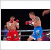 Galeria zdjęć: Gala MMA i Międzyzdroje Seaside Boxing Show 2017. Link otwiera powiększoną wersję zdjęcia.