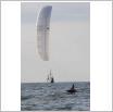 Galeria zdjęć: Summer Kite Festiwal 2017. Link otwiera powiększoną wersję zdjęcia.