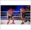 Galeria zdjęć: Gala Boksu i MMA 2018. Link otwiera powiększoną wersję zdjęcia.