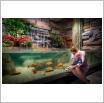 Galeria zdjęć: oceanarium_otwarcie2019. Link otwiera powiększoną wersję zdjęcia.