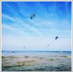 Galeria zdjęć: SummerKite2019. Link otwiera powiększoną wersję zdjęcia.