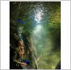 Galeria zdjęć: Oceanarium. Link otwiera powiększoną wersję zdjęcia.