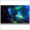 Galeria zdjęć: Oceanarium. Link otwiera powiększoną wersję zdjęcia.