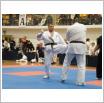 Galeria zdjęć: MISTRZOSTWA POLSKI PÓŁNOCNEJ POLSKIEJ FEDERACJI KYOKUSHIN KARATE. Link otwiera powiększoną wersję zdjęcia.