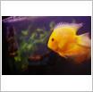 Galeria zdjęć: Oceanarium. Link otwiera powiększoną wersję zdjęcia.