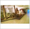 Galeria zdjęć: Muzeum Wolińskiego Parku Narodowego. Link otwiera powiększoną wersję zdjęcia.