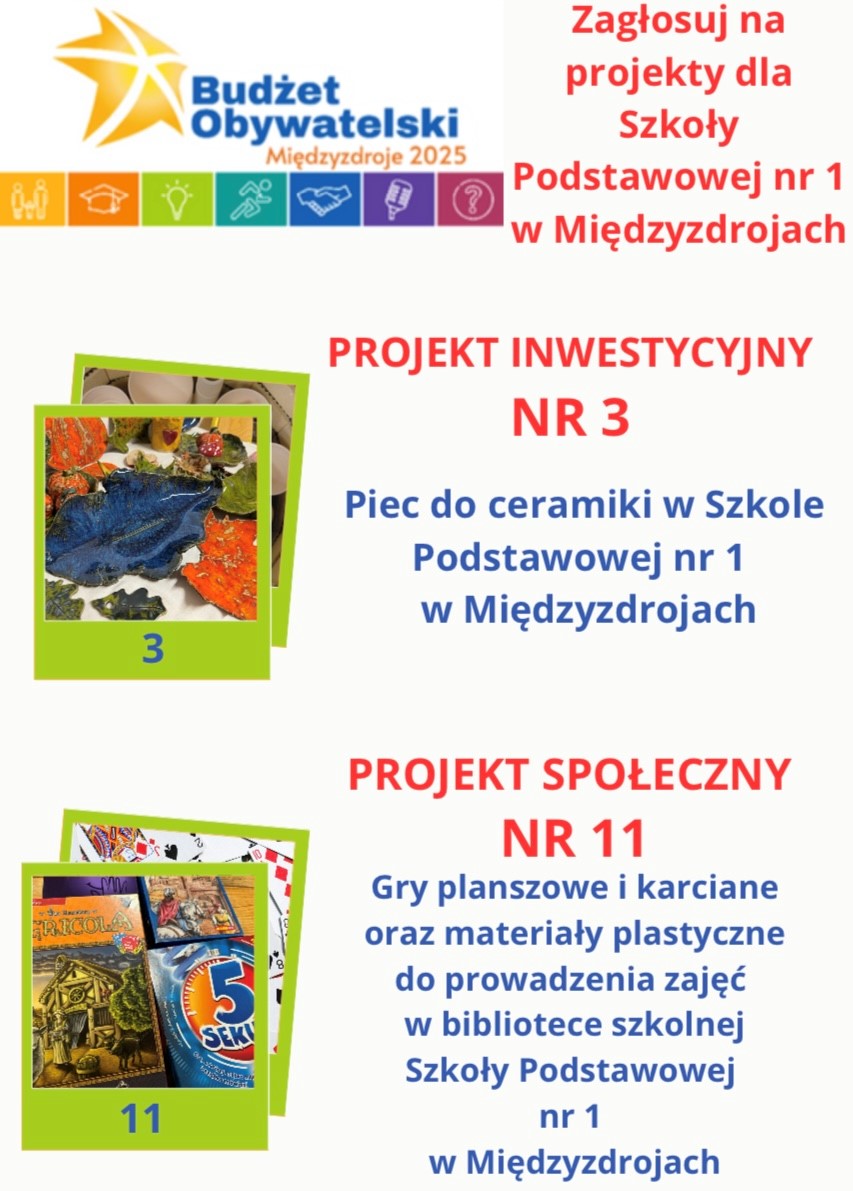 Inwestycyjny nr 3 - Piec do ceramiki w Szkole Podstawowej Nr 1 w Międzyzdrojach